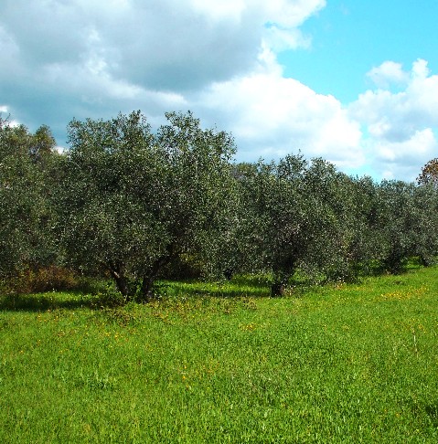 territorio 2